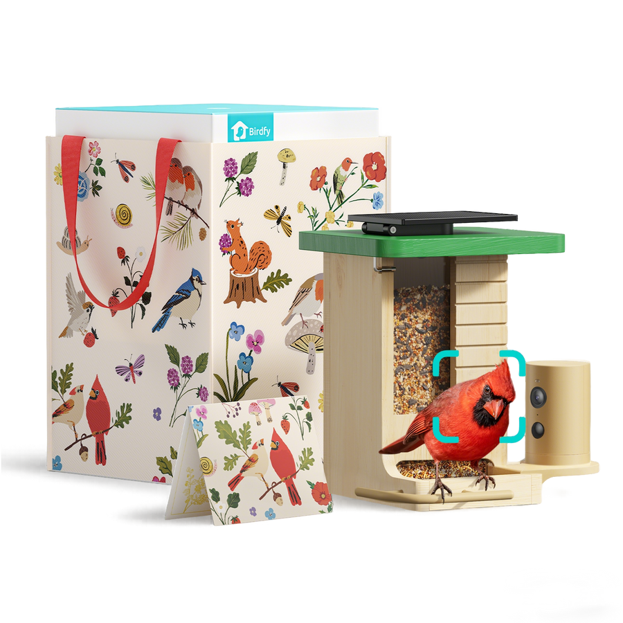 Birdfy Feeder Wood – Édition Cadeau
